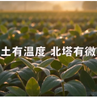 视频 | 乡土有温度 北塔有微光
