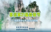 张家界绿水青山的文学叙事｜任攀攀：峰林的血脉（组诗）