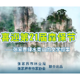 张家界绿水青山的文学叙事｜任攀攀：峰林的血脉（组诗）