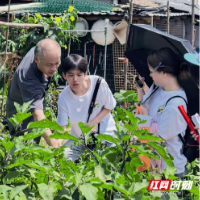 “泥”的设问
