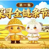 “谷湘湘”科普课堂·粮食安全保障法科普系列 | 第一集 探寻全链条节粮