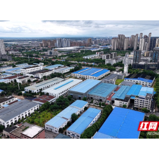 潭企逐光·民建赋能丨张国颂:在开关柜里“焊”出诚信人生