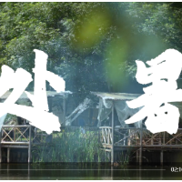 视频 | 二十四节气之处暑·暑止凉生