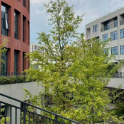 湘江新区这2所新学校,即将开门迎新!