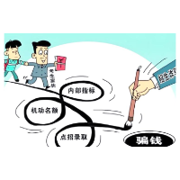 从假冒身份到AI炮制“名师”“学霸”,虚假教育人设如何识别?