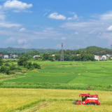 湖南早稻总产量全国第一!国家统计局发布2026年早稻产量数据