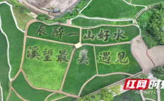 辰溪稻花鱼公园全面完工亮相 怀化市旅发大会再添田园打卡新景