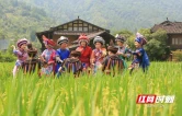 稻浪飘香引客来，黄龙洞景区田园风光受青睐(组图)