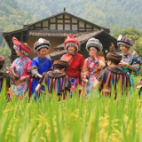 稻浪飘香引客来,黄龙洞景区田园风光受青睐(组图)