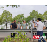 大通湖区河坝镇:观摩学习促振兴 产销对接助增收