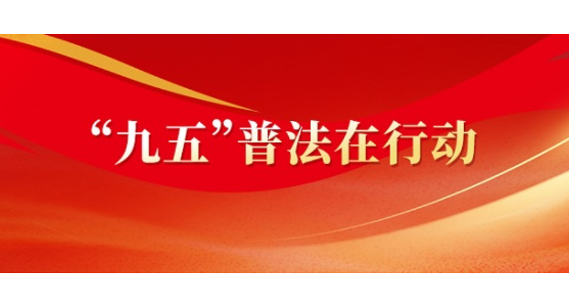 专栏 | “九五”普法在行动