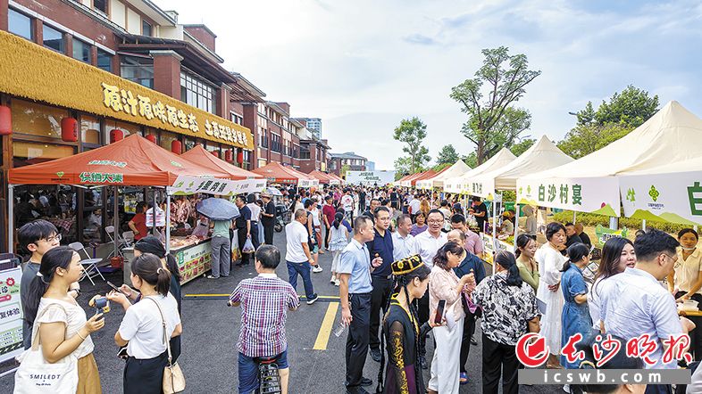 活动现场氛围热闹又治愈。均为长沙晚报全媒体记者 陈飞 摄