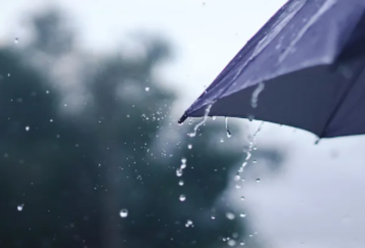 别收伞！长沙中到大雨马上来