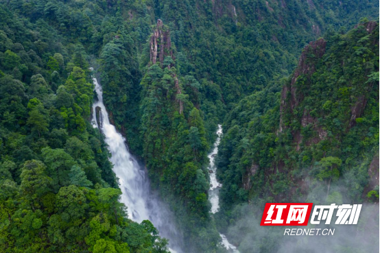 宜章莽山:“森谷避暑季”解锁22℃清凉密码1459.png