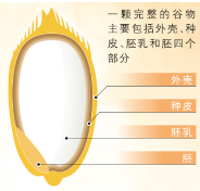 发展全谷物食品有何好处