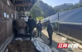 田埂上的“法律明白人”——记保靖县清水坪镇大坝村李宁