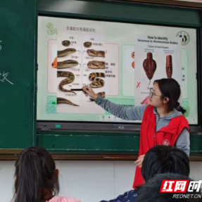 南华大学“青春护蕊,医行知光”志愿服务队开展急救科普系列活动
