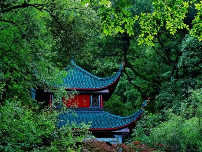 长沙岳麓山风景名胜区新规落地：禁止野爬、违规骑行、违规商拍及摆摊等