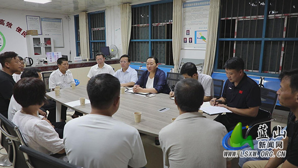 邓群到新圩镇调研并开展联村解忧“四个一批”活动.jpg