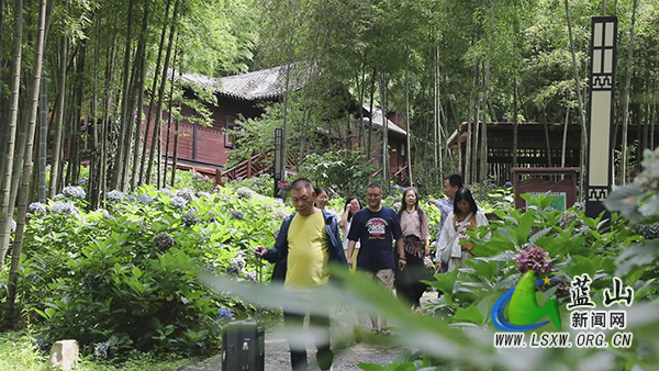 蓝山县惠民赋能避暑游 文旅消费热力全开2.jpg