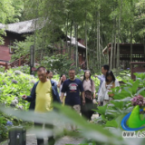 蓝山:惠民赋能避暑游 文旅消费热力全开