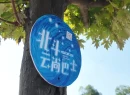 身边的北斗·双语丨手机一点，公交“网约车”随叫随到