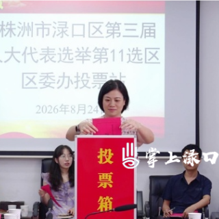 渌口区选举新一届区、镇两级人大代表