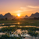 视频丨中元节：以花代火寄思念
