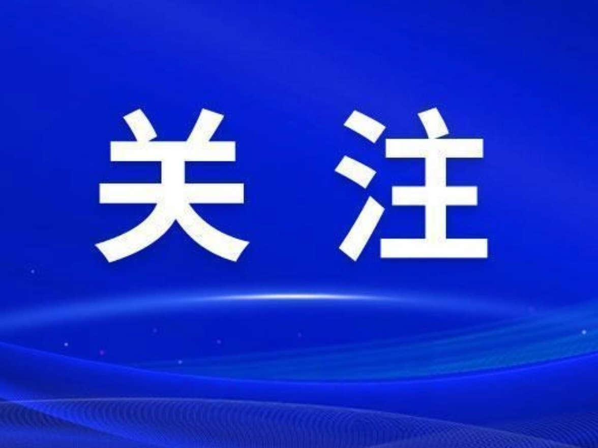 芙蓉区四大家领导参加投票选举人大代表