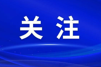 芙蓉区四大家领导参加投票选举人大代表