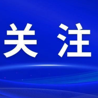 芙蓉区四大家领导参加投票选举人大代表