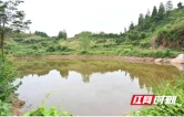 疏通农田水利“毛细血管” 赋能麻阳乡村振兴