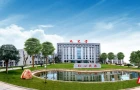 九芝堂上半年净利润达2.50亿元，同比增长74.01%