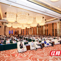 湖南铁道职院应邀参加2026年产教融合发展论坛并作主旨分享