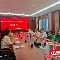湖南省商务厅在株洲开展跨境电商调研