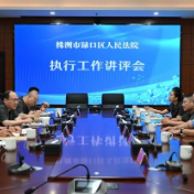 渌口区人民法院召开2026年上半年执行工作讲评会