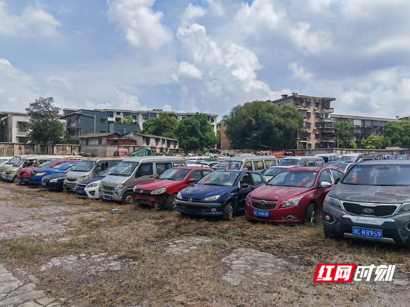 5531辆涉案车辆集中处置，湘潭交警这样“清零”