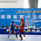省运会青少年组武术散打比赛落幕