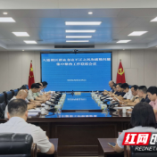 大通湖区纵深推进群众身边不正之风和腐败问题集中整治