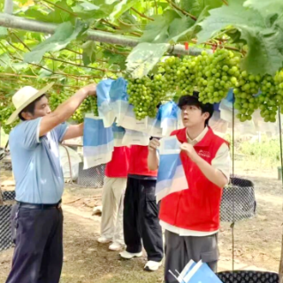 今年“三下乡” 湘潭超7000名青年师生奔赴基层一线