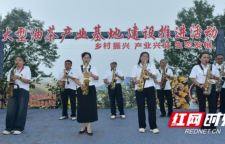 跨村联动、抱团致富 吉首市太平镇千亩油茶基地拉开建设序幕