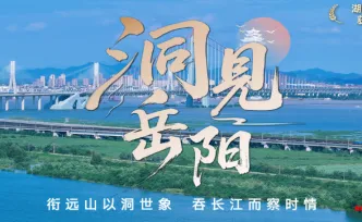洞见岳阳丨从一张“创业签证”看一座城市开放雄心