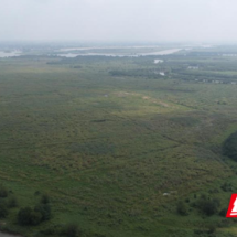 汉寿甲鱼:一枚双地标产品的“三维”辨识法