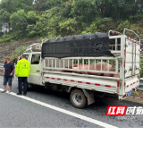货车抛锚生猪面临受损 永州高速潘市管理所紧急救助化险为夷