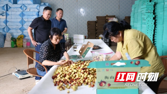 微信图片_20260827171413_141_2