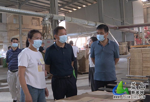 蓝山：曹晓春带队开展“以竹代塑”产业及竹木加工产业园建设视察活动