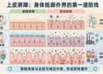 全球过敏患者为何越来越多