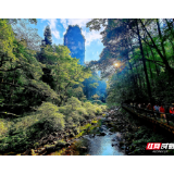 评论丨张家界何以成为国际旅游目的地“一线城市”