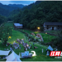 税务服务“添凉”更“添力” 护航夏日经济“轻”装上阵