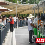接待270万人次，长沙岳麓山暑期主打“贴心”